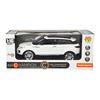 Imagem de Carro SUV Controle Remoto - DM Toys