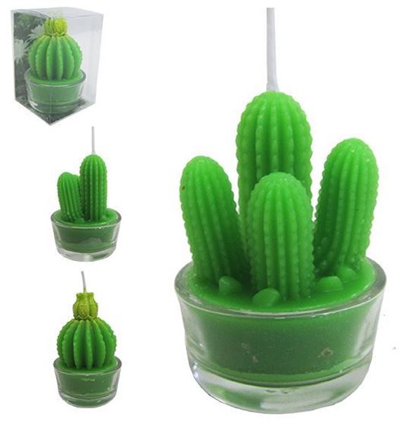 Imagem de Vela Decorativa - Cactus Sortidos