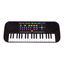 Imagem de Teclado com Microfone 54cm - DM Toys