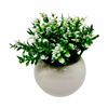 Imagem de Planta Artificial Mini Vaso Porcelana - 10cm