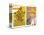 Imagem de Quebra-Cabeça Van Gogh - Combo 2x 1000 Peças - Toyster